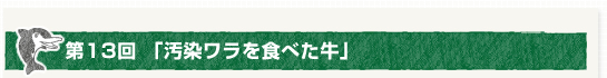 第１３回「汚染ワラを食べた牛」