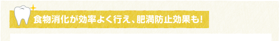 食物消化が効率よく行え、肥満防止効果も！